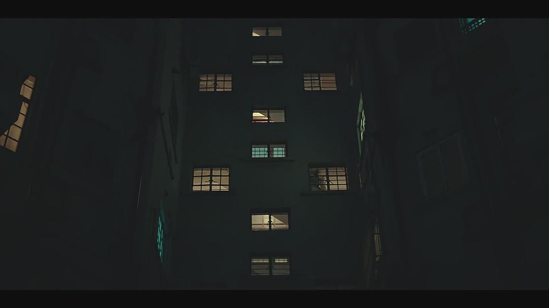 电视剧《上海女子图鉴》（2018中国大陆）--高清4K/1080P迅雷BT资源下载