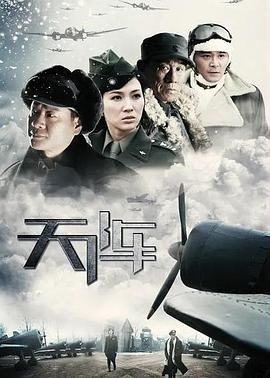 电视剧《天阵》（2010中国大陆）--高清4K/1080P迅雷BT资源下载