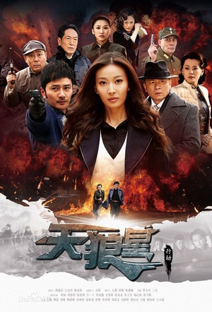 电视剧《天狼星行动》（2013中国大陆）--高清4K/1080P迅雷BT资源下载