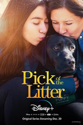 电视剧《崽之抉择 第一季  Pick of the Litter》（2019美国）--高清4K/1080P迅雷BT资源下载