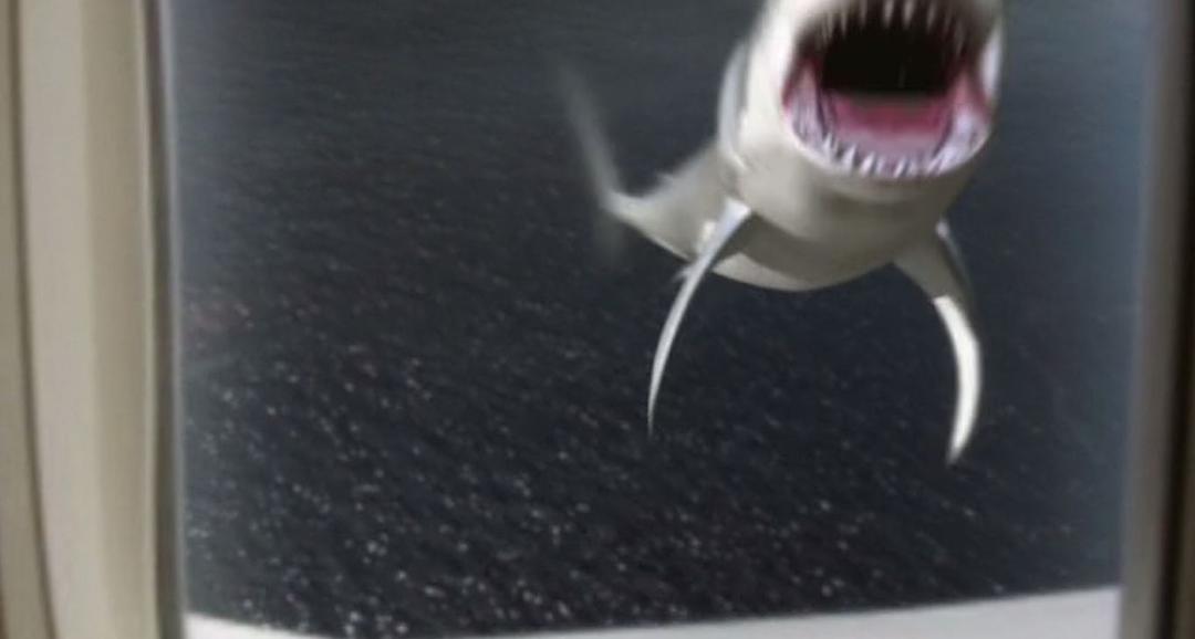电影《噬人鲨大战大乌贼  Mega Shark vs. Giant Octopus》（2009美国）--高清4K/1080P迅雷BT资源下载