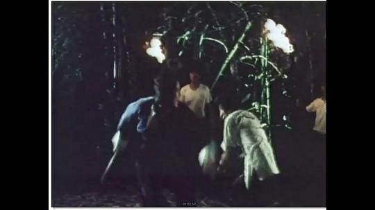 电影《血婴  血嬰》（1982中国香港）--高清4K/1080P迅雷BT资源下载
