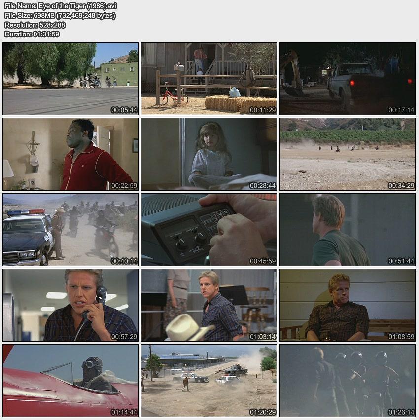 电影《虎之眼  Eye of the Tiger》（1986美国）--高清4K/1080P迅雷BT资源下载