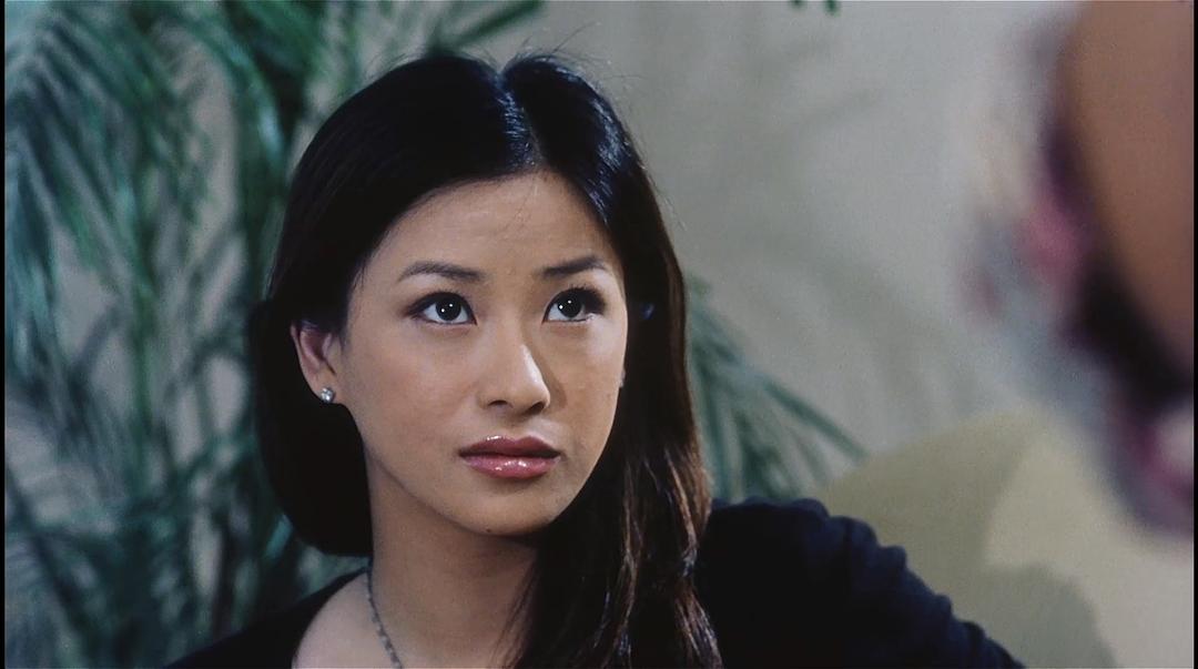 电影《铁血警雄  鐵血警雄》（2004中国香港）--高清4K/1080P迅雷BT资源下载