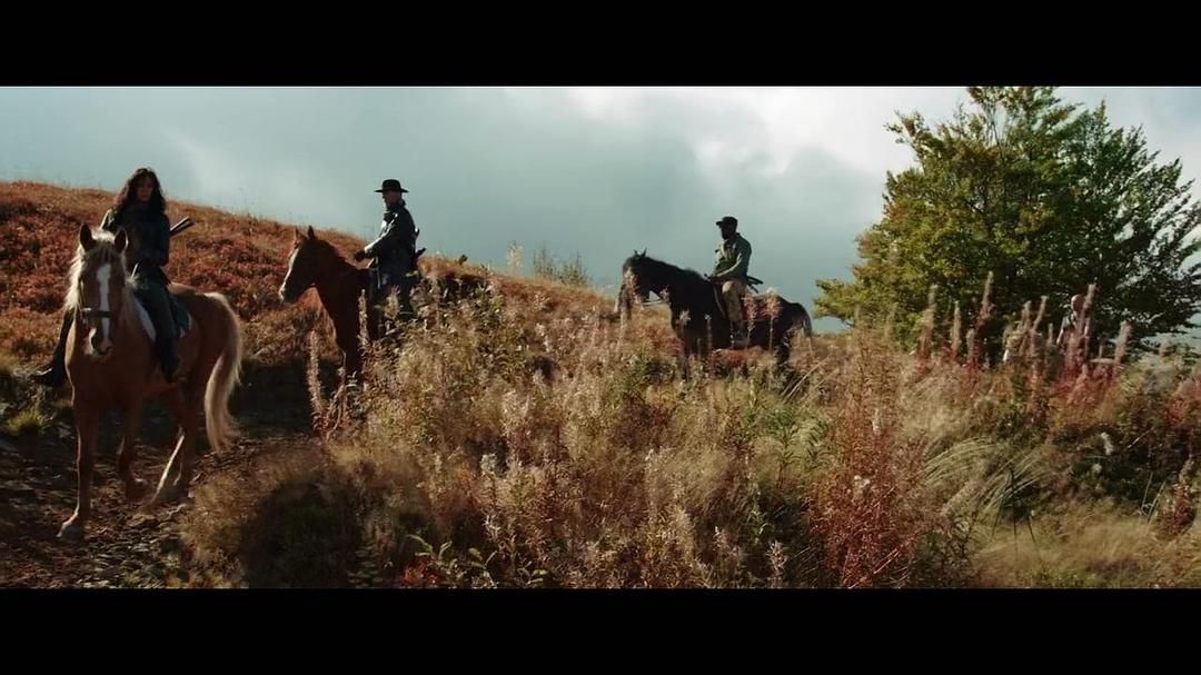 电影《敢死七镖客  The Glorious Seven》（2019德国）--高清4K/1080P迅雷BT资源下载