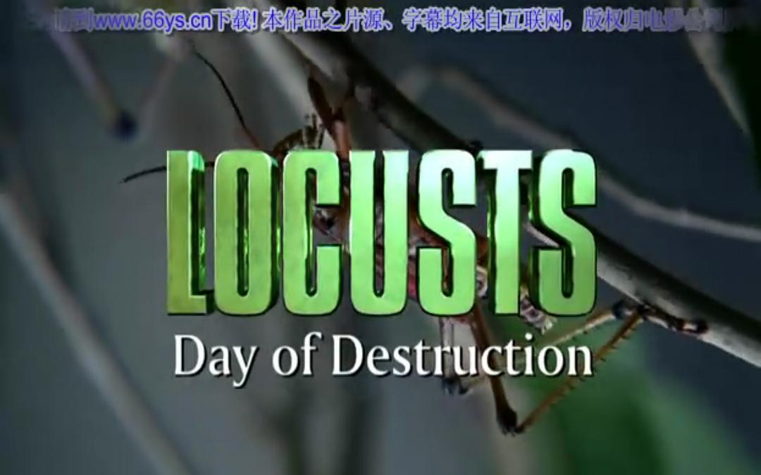 电影《极度惊蝗  Locusts》（2005美国）--高清4K/1080P迅雷BT资源下载