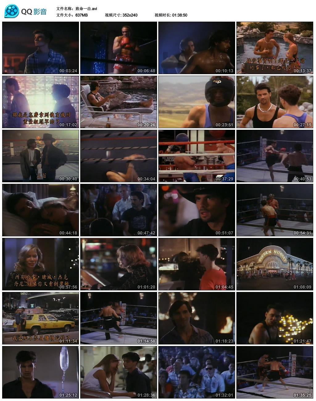电影《致命一击  Final Impact》（1992美国）--高清4K/1080P迅雷BT资源下载