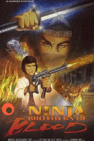 电影《Ninja Knight Brothers of Blood》（1988中国香港）--高清4K/1080P迅雷BT资源下载