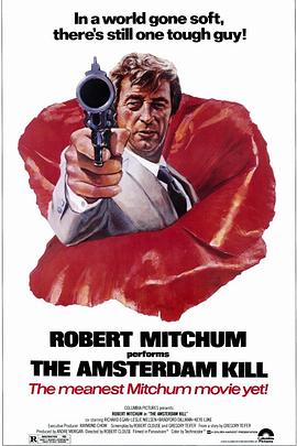 电影《荷京喋血  The Amsterdam Kill》（1977中国香港 / 美国）--高清4K/1080P迅雷BT资源下载