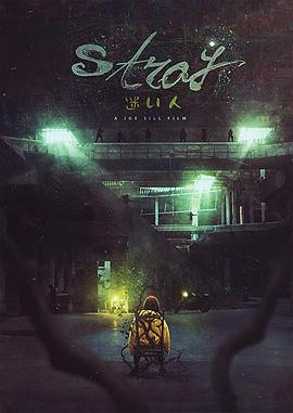 电影《迷途之人  Stray》（2018美国）--高清4K/1080P迅雷BT资源下载