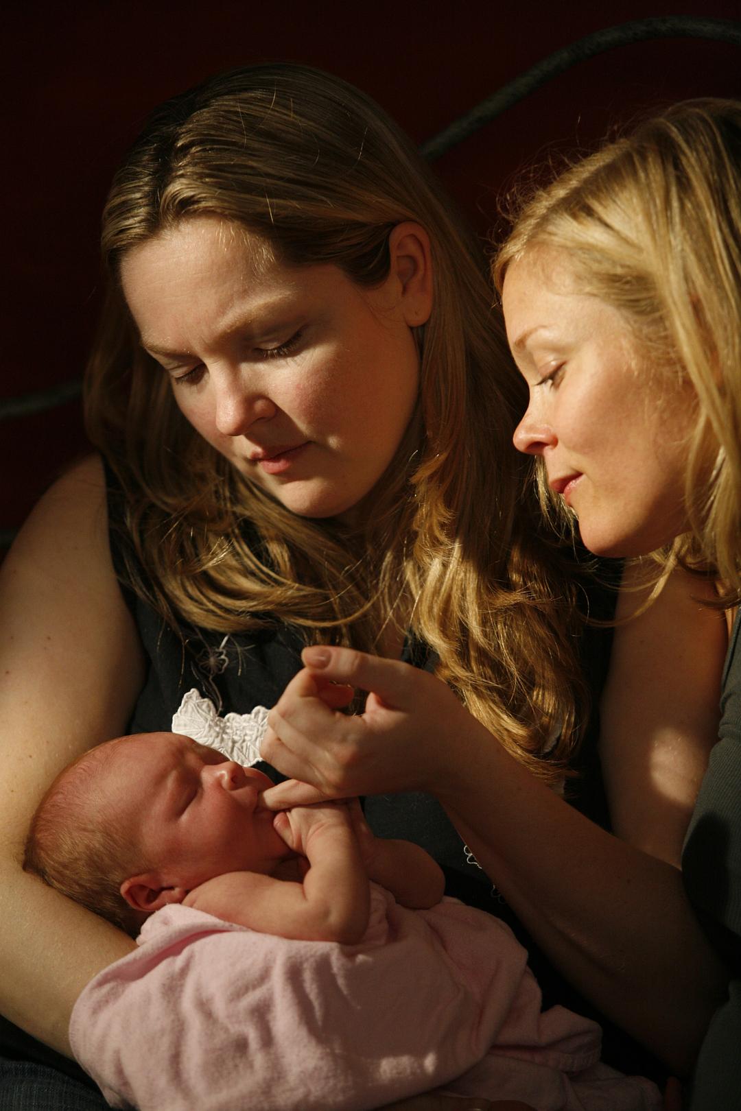 电影《婴儿配方  The Baby Formula》（2008加拿大）--高清4K/1080P迅雷BT资源下载