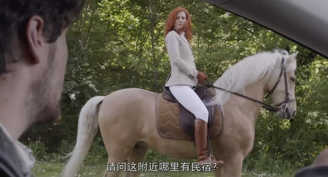 电影《圣爱之旅  Saint Amour》（2016法国）--高清4K/1080P迅雷BT资源下载