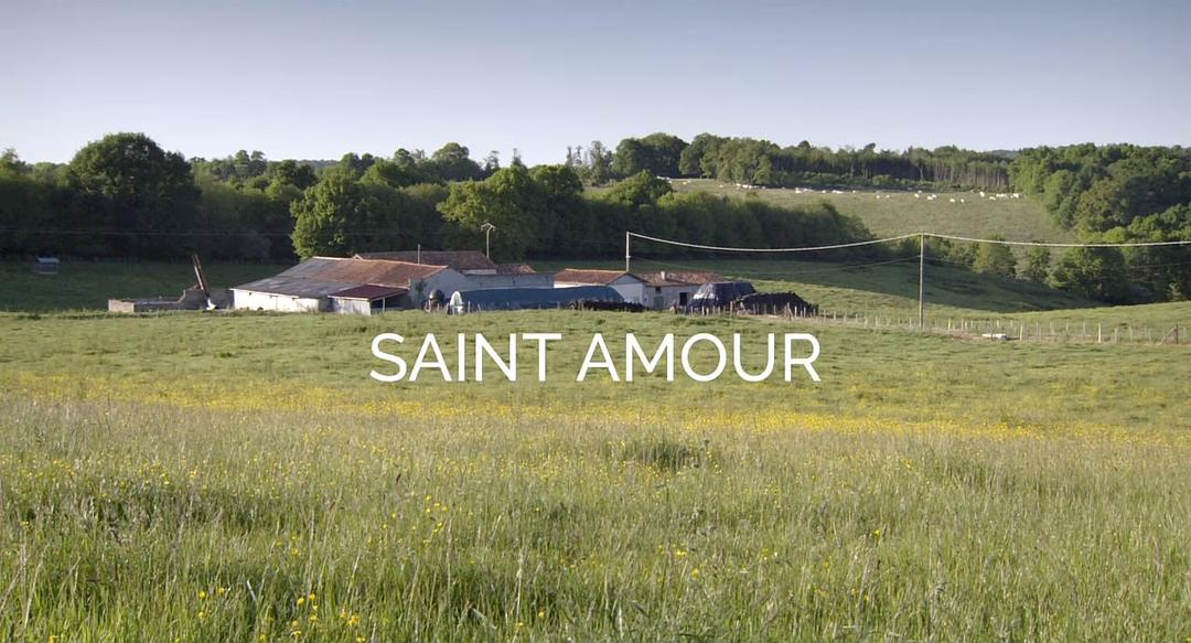 电影《圣爱之旅  Saint Amour》（2016法国）--高清4K/1080P迅雷BT资源下载