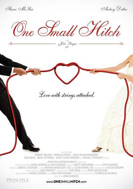 电影《恰巧的爱情  One Small Hitch》（2012美国）--高清4K/1080P迅雷BT资源下载