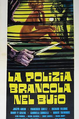 电影《暗警  La polizia brancola nel buio》（1975意大利 / 土耳其）--高清4K/1080P迅雷BT资源下载