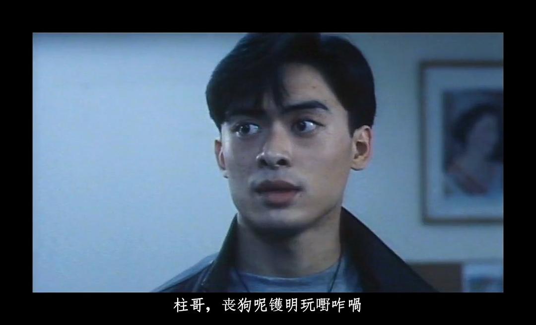 电影《初生之犊  初生之犢》（1994中国香港）--高清4K/1080P迅雷BT资源下载