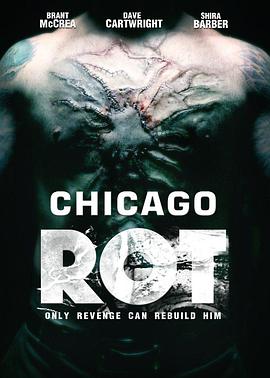 电影《暗黑破坏芝加哥  Chicago Rot》（2015美国）--高清4K/1080P迅雷BT资源下载