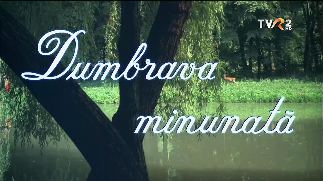 电影《神奇的矮树林  Dumbrava minunată》（1980罗马尼亚）--高清4K/1080P迅雷BT资源下载