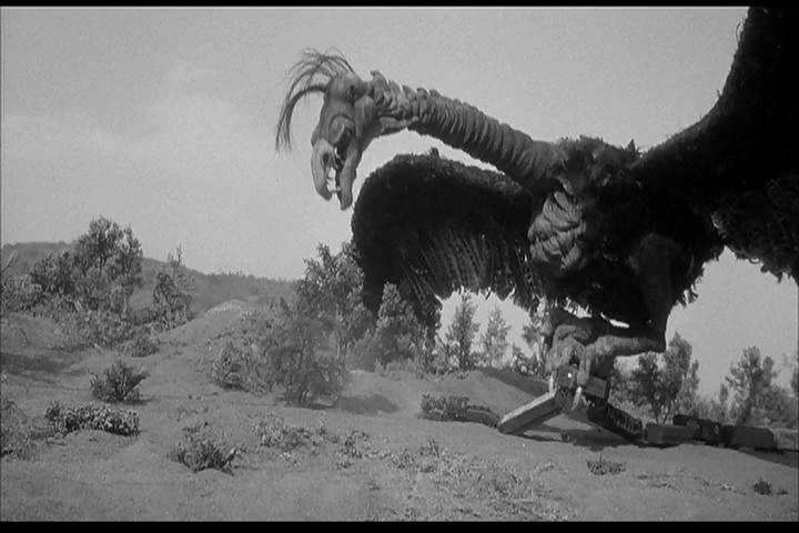 电影《巨爪  The Giant Claw》（1957美国）--高清4K/1080P迅雷BT资源下载