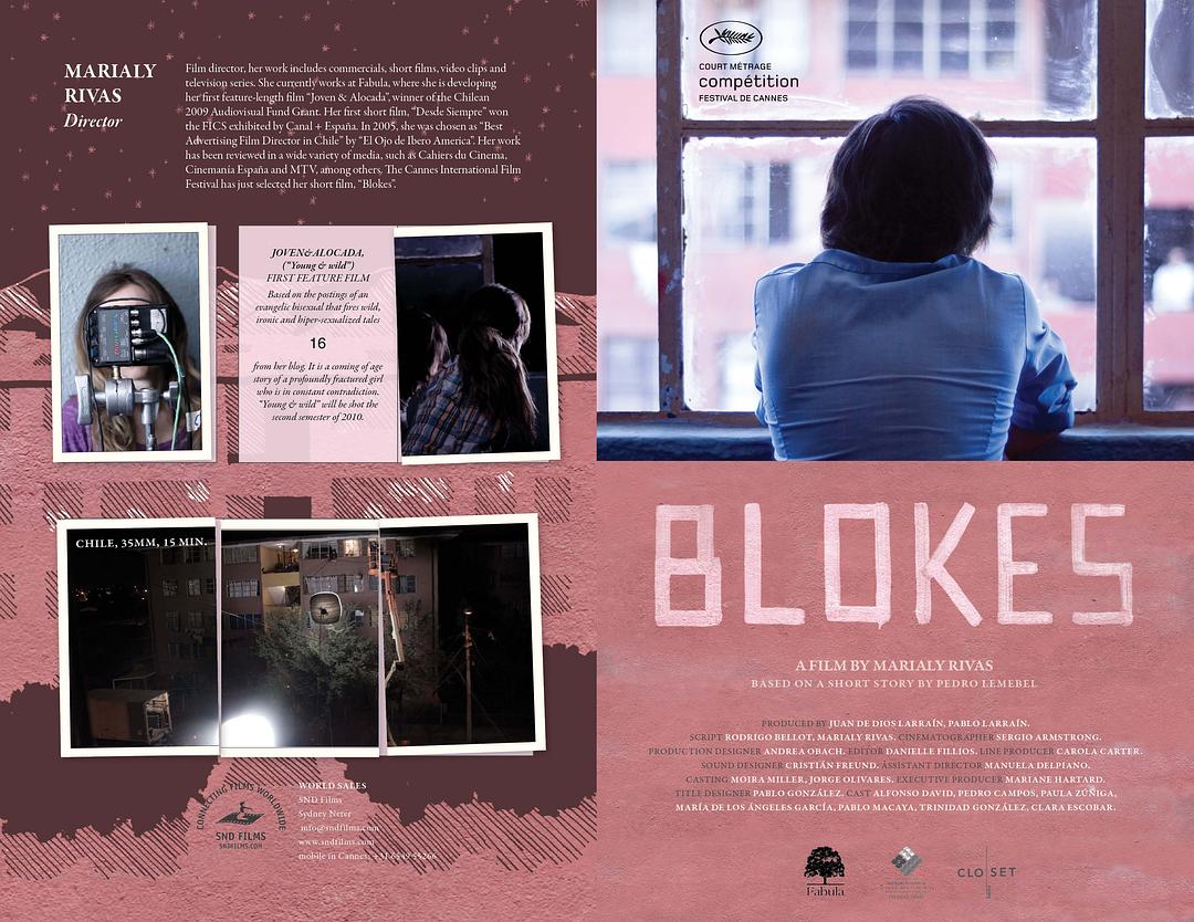 电影短片《窗口的微热青春  Blokes》（2010智利）--高清4K/1080P迅雷BT资源下载