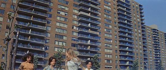 电影短片《欢乐今宵  Bye Bye Birdie》（1963美国）--高清4K/1080P迅雷BT资源下载