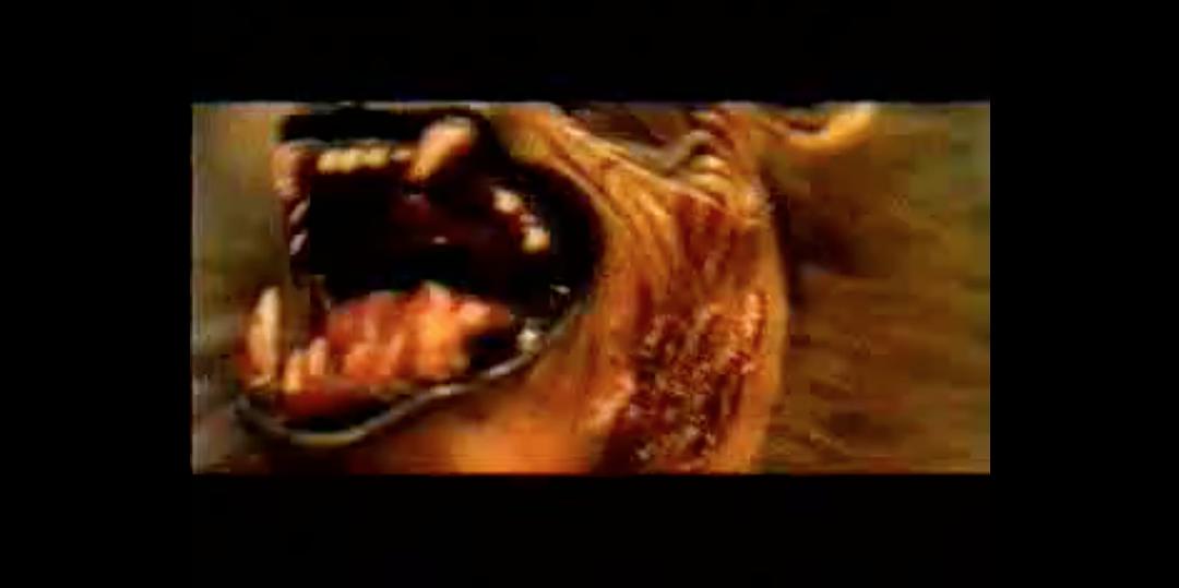 电影短片《肛交者  Sodomites》（1998法国）--高清4K/1080P迅雷BT资源下载