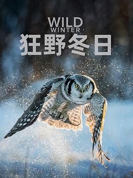 电视剧《狂野冬日 第一季  Wild Winter》（2024澳大利亚）--高清4K/1080P迅雷BT资源下载