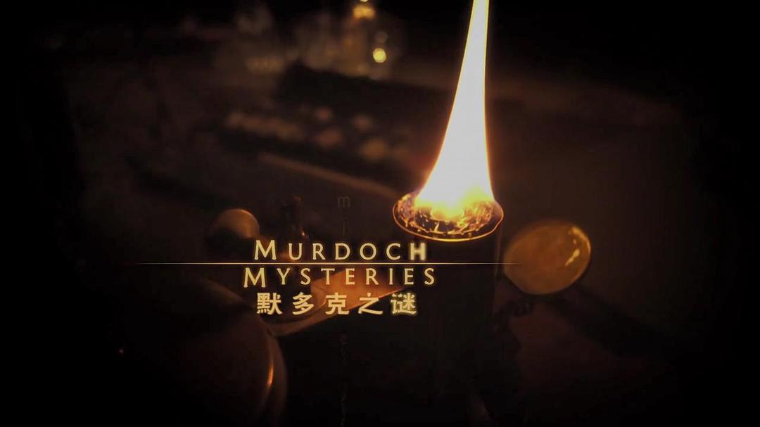 电视剧《神探默多克 第十三季  Murdoch Mysteries》（2019加拿大）--高清4K/1080P迅雷BT资源下载