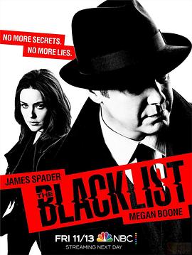 电视剧《罪恶黑名单 第九季  The Blacklist》（2021美国）--高清4K/1080P迅雷BT资源下载