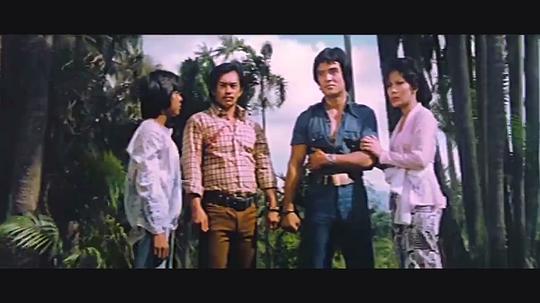 电影《鬼计双雄  鬼計雙雄》（1976中国香港）--高清4K/1080P迅雷BT资源下载