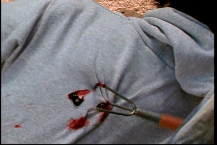 电影《血腥谋杀  Bloody Murder》（2000美国）--高清4K/1080P迅雷BT资源下载
