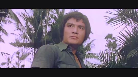 电影《鬼计双雄  鬼計雙雄》（1976中国香港）--高清4K/1080P迅雷BT资源下载