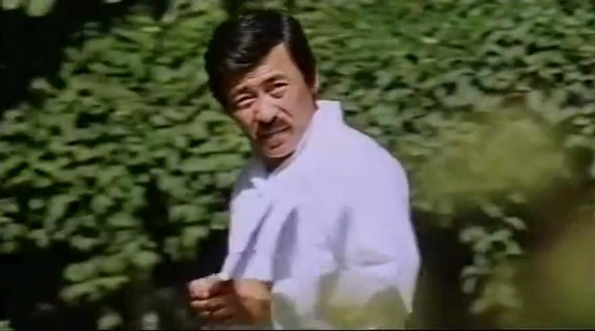 电影《不择手段  Bu ze shou duan》（1978中国香港）--高清4K/1080P迅雷BT资源下载