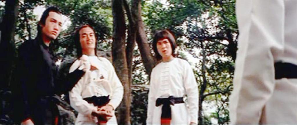 电影《洪熙官·方世玉·陆阿采》（1974中国台湾）--高清4K/1080P迅雷BT资源下载