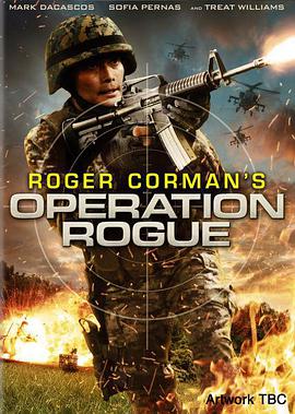 电影《流氓行动  Operation Rogue》（2014英国）--高清4K/1080P迅雷BT资源下载