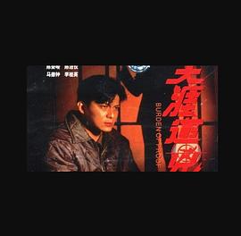 电影《天涯追凶》（1994中国香港）--高清4K/1080P迅雷BT资源下载