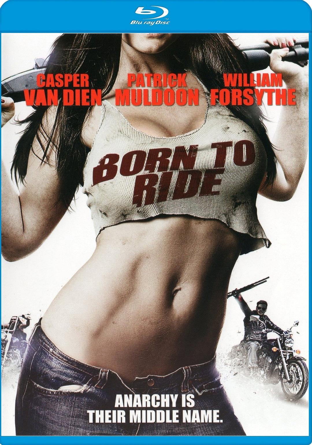 电影《无敌车队  Born to Ride》（2011美国）--高清4K/1080P迅雷BT资源下载