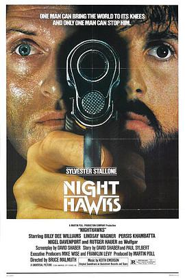 电影《夜鹰  Nighthawks》（1981美国）--高清4K/1080P迅雷BT资源下载