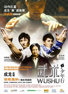 电影《武术之少年行》（2008中国大陆 / 中国香港）--高清4K/1080P迅雷BT资源下载