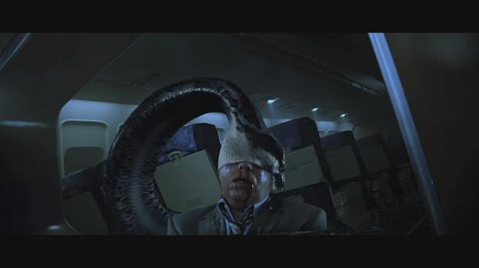 电影《航班蛇患  Snakes on a Plane》（2006美国 / 德国）--高清4K/1080P迅雷BT资源下载