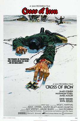 电影《铁十字勋章  Cross of Iron》（1977英国 / 西德）--高清4K/1080P迅雷BT资源下载