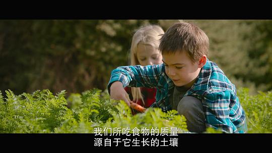 电影《最大的小小农场：回归  The Biggest Little Farm: The Return》（2022美国）--高清4K/1080P迅雷BT资源下载