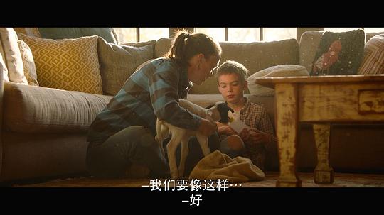 电影《最大的小小农场：回归  The Biggest Little Farm: The Return》（2022美国）--高清4K/1080P迅雷BT资源下载