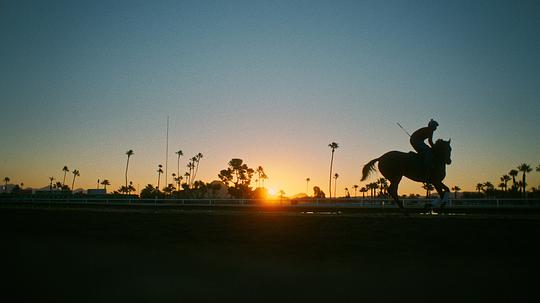 电影《骑师  Jockey》（2021美国）--高清4K/1080P迅雷BT资源下载