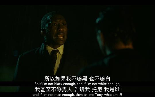 电影《绿皮书  Green Book》（2018美国 / 中国大陆）--高清4K/1080P迅雷BT资源下载