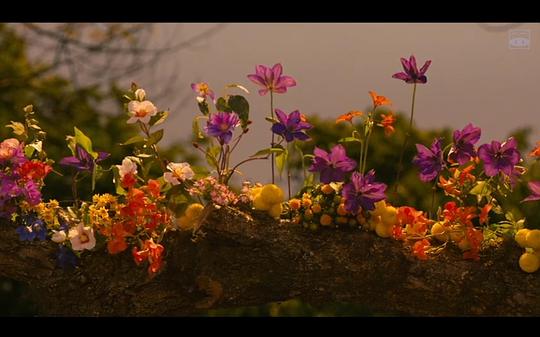 电影《乱世花道  花戦さ》（2017日本）--高清4K/1080P迅雷BT资源下载