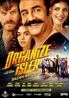 电影《有组织的工作  Organize Isler: Sazan Sarmali》（2019土耳其）--高清4K/1080P迅雷BT资源下载