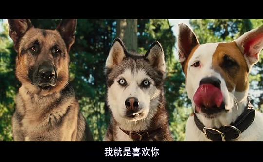 电影《大丹麦狗马默杜克  Marmaduke》（2010美国）--高清4K/1080P迅雷BT资源下载