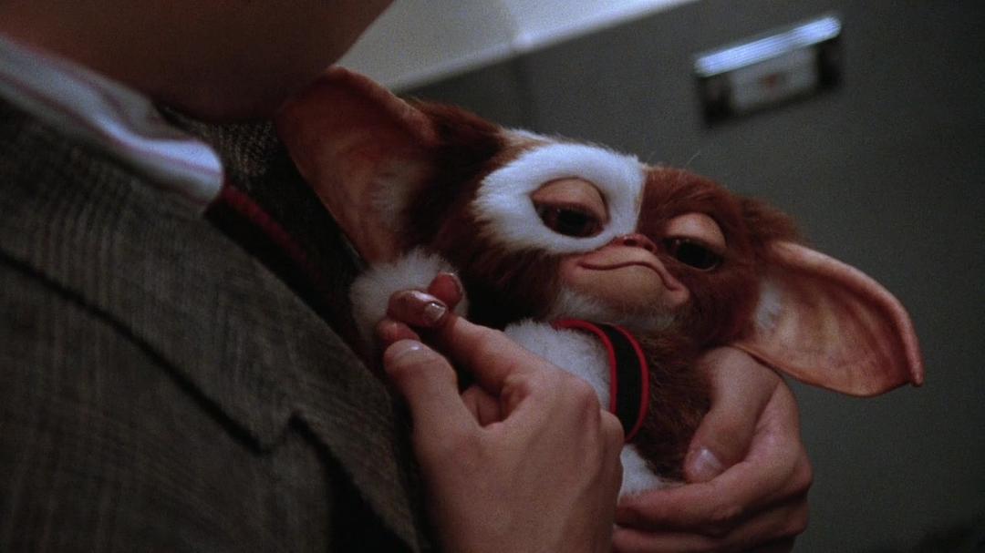 电影《小精灵续集  Gremlins 2: The New Batch》（1990美国）--高清4K/1080P迅雷BT资源下载