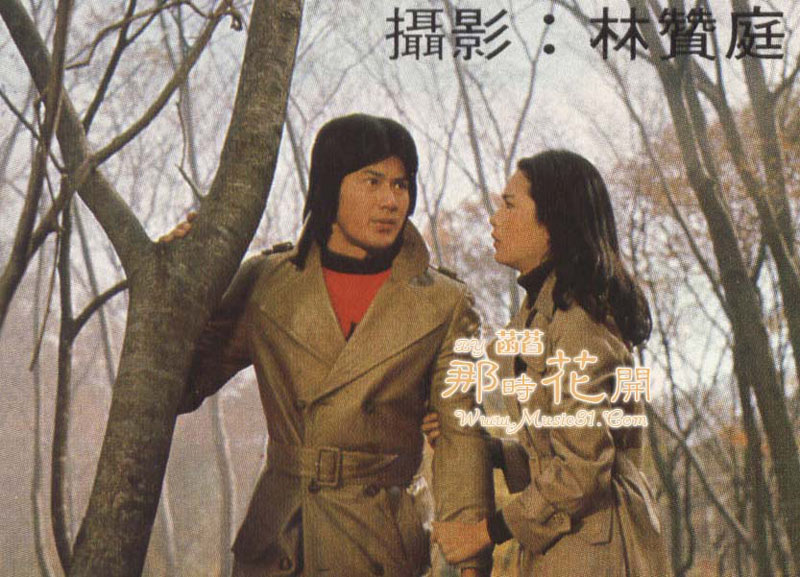 电影《枫叶情  楓葉情》（1976中国台湾）--高清4K/1080P迅雷BT资源下载